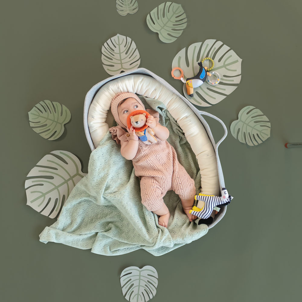 Taf Toys csörgő Harry, az oroszlán rágókával 12675