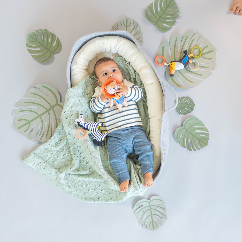 Taf Toys csörgő Harry, az oroszlán rágókával 12675